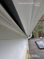Soffit Strip Vent