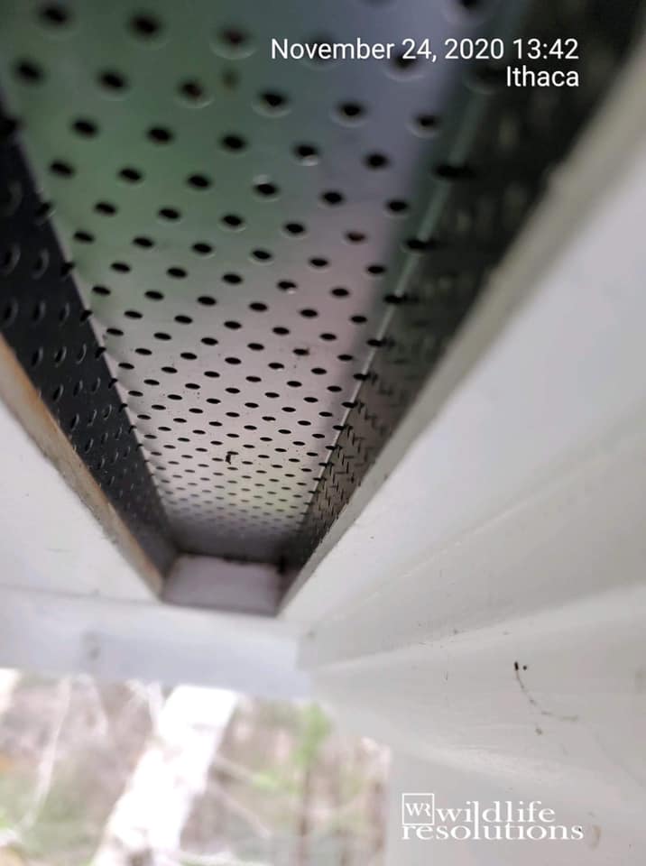 Soffit Strip Vent